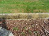 image of grave number 583099